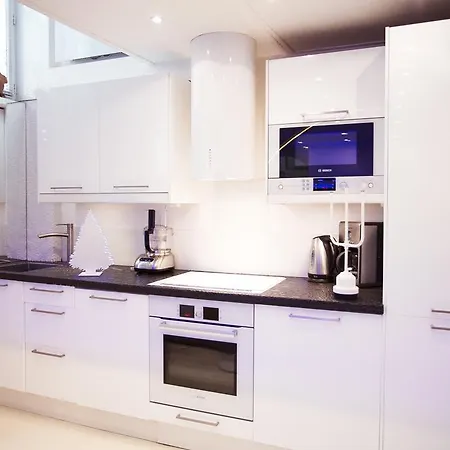 Apartment Stylish,luxury Duplex Center